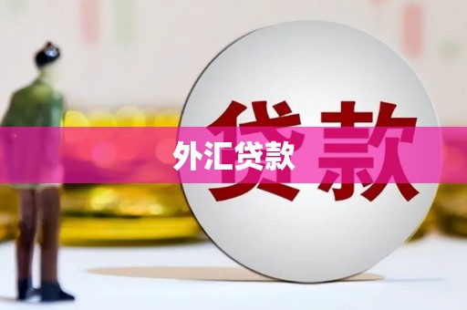 沈北新区外汇贷款