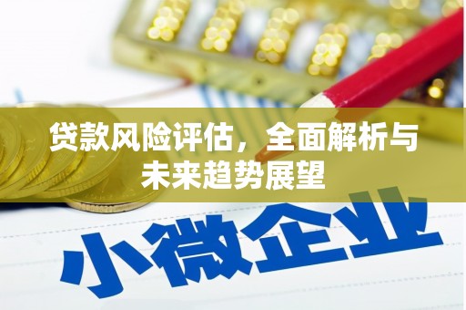宁明贷款风险评估，全面解析与未来趋势展望
