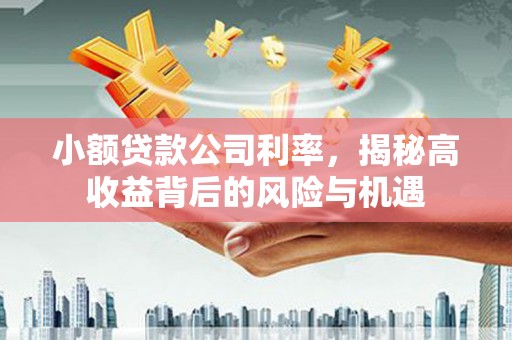田林小额贷款公司利率，揭秘高收益背后的风险与机遇