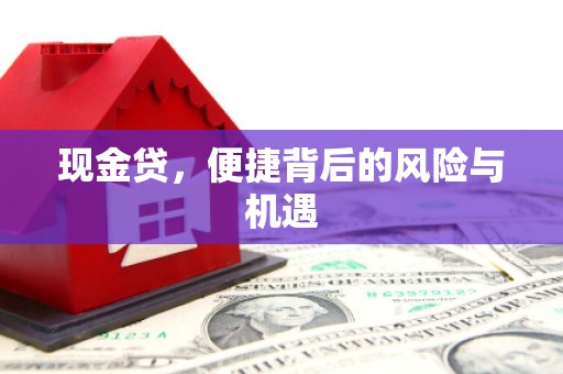 巴里坤现金贷，便捷背后的风险与机遇
