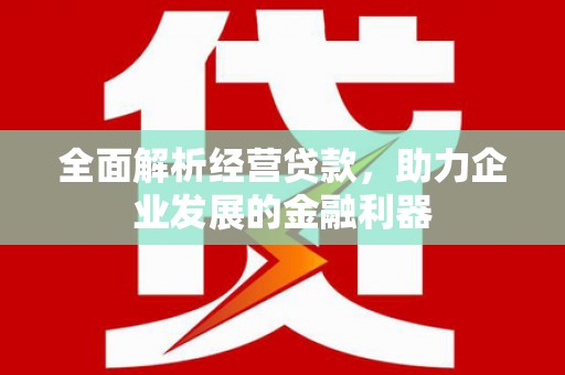 乐都全面解析经营贷款，助力企业发展的金融利器