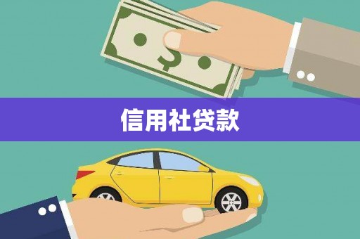 云龙信用社贷款