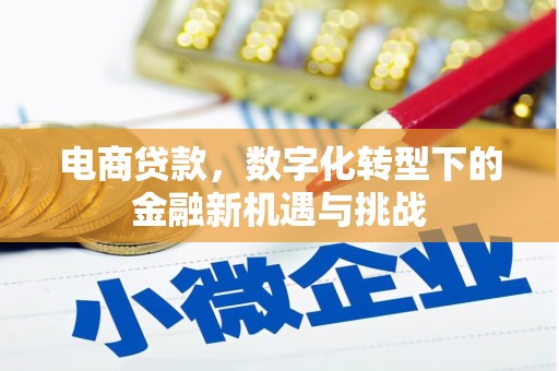 宣威电商贷款，数字化转型下的金融新机遇与挑战