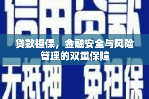 定兴贷款担保，金融安全与风险管理的双重保障