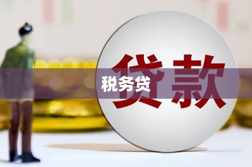 会同税务贷