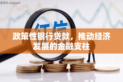 苏家屯政策性银行贷款，推动经济发展的金融支柱
