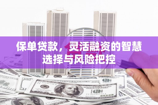 松北保单贷款，灵活融资的智慧选择与风险把控