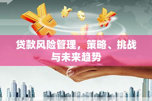 惠安贷款风险管理，策略、挑战与未来趋势