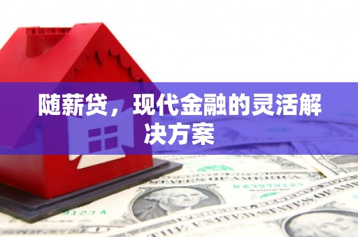 正安随薪贷，现代金融的灵活解决方案