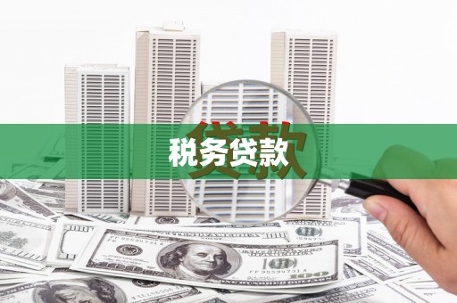 茂林税务贷款