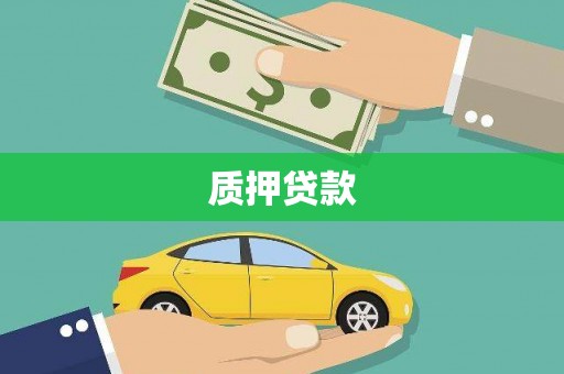 广水质押贷款