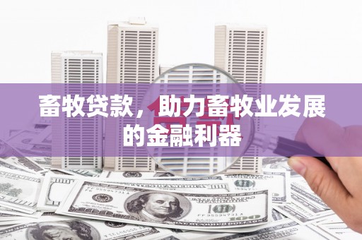 盖州畜牧贷款，助力畜牧业发展的金融利器