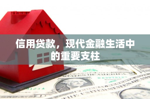 湖西信用贷款，现代金融生活中的重要支柱
