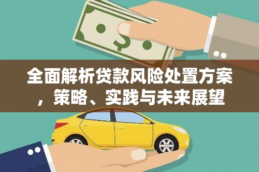 电白全面解析贷款风险处置方案，策略、实践与未来展望