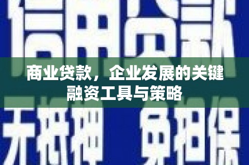 新园商业贷款，企业发展的关键融资工具与策略
