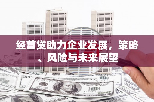 凌海经营贷助力企业发展，策略、风险与未来展望