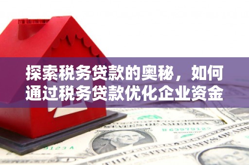 友谊探索税务贷款的奥秘，如何通过税务贷款优化企业资金流