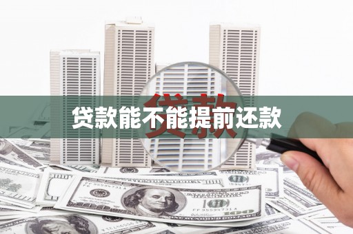 武鸣贷款能不能提前还款