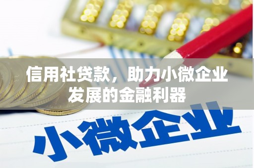 岱山信用社贷款，助力小微企业发展的金融利器