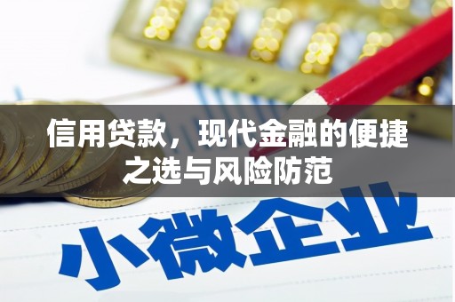 武义信用贷款，现代金融的便捷之选与风险防范