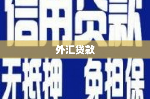 桃园外汇贷款