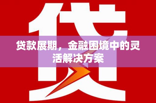 咸丰贷款展期，金融困境中的灵活解决方案