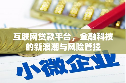 泰来互联网贷款平台，金融科技的新浪潮与风险管控