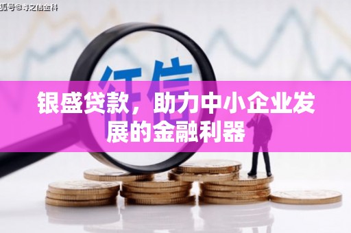 中卫银盛贷款，助力中小企业发展的金融利器