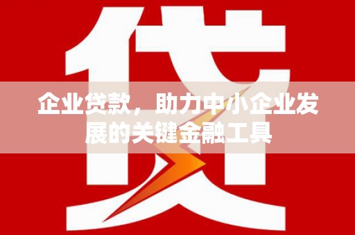 龙文企业贷款，助力中小企业发展的关键金融工具