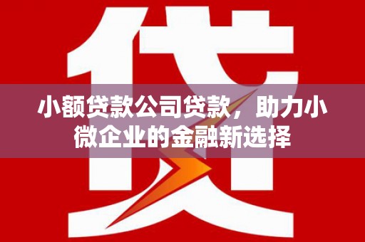 天河小额贷款公司贷款，助力小微企业的金融新选择