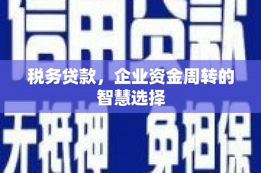 崇仁税务贷款，企业资金周转的智慧选择