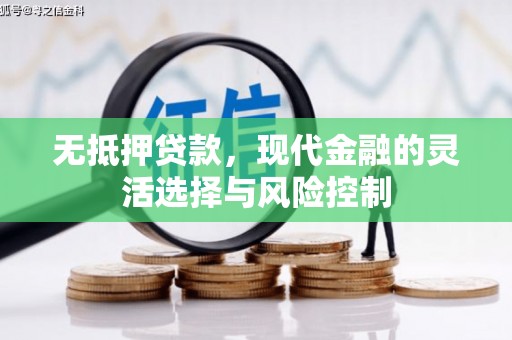 海陵无抵押贷款，现代金融的灵活选择与风险控制