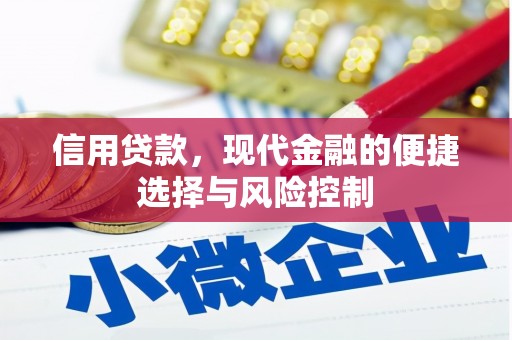 景谷信用贷款，现代金融的便捷选择与风险控制