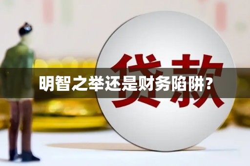平舆明智之举还是财务陷阱？