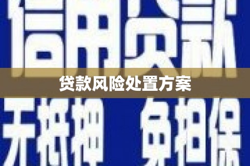 上街贷款风险处置方案