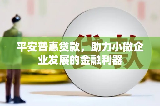 额济纳旗平安普惠贷款，助力小微企业发展的金融利器