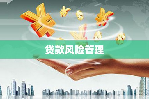 长岛贷款风险管理