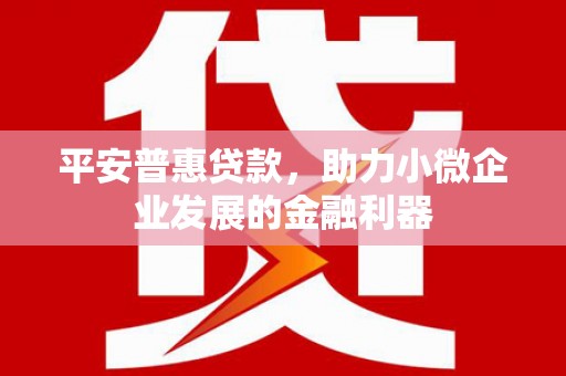 攸县平安普惠贷款，助力小微企业发展的金融利器