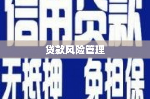 罗山贷款风险管理