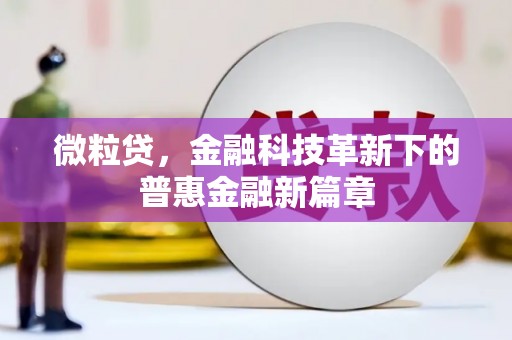 水上微粒贷，金融科技革新下的普惠金融新篇章