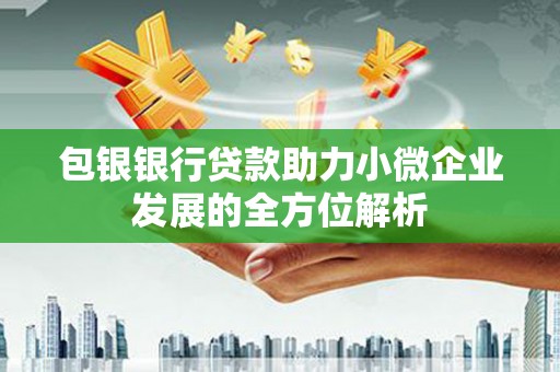 桃城包银银行贷款助力小微企业发展的全方位解析