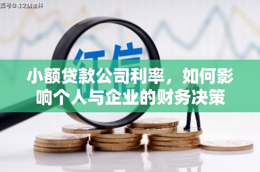 宁晋小额贷款公司利率，如何影响个人与企业的财务决策