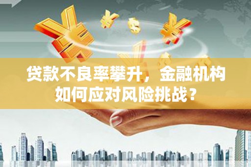 新店贷款不良率攀升，金融机构如何应对风险挑战？