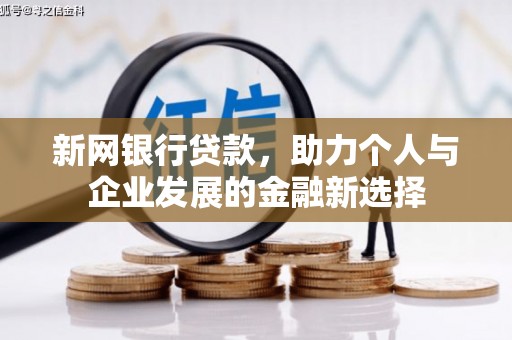 德州新网银行贷款，助力个人与企业发展的金融新选择