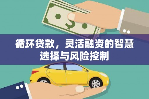 嘉祥循环贷款，灵活融资的智慧选择与风险控制