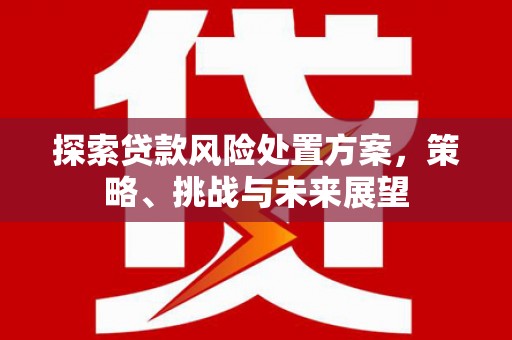 宝塔探索贷款风险处置方案，策略、挑战与未来展望