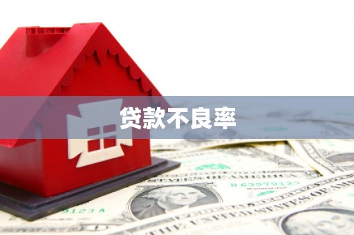 镇安贷款不良率