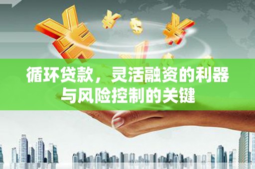 双鸭山循环贷款，灵活融资的利器与风险控制的关键