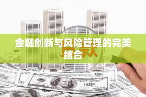 崇明金融创新与风险管理的完美结合