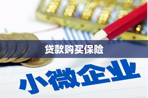 南化贷款购买保险